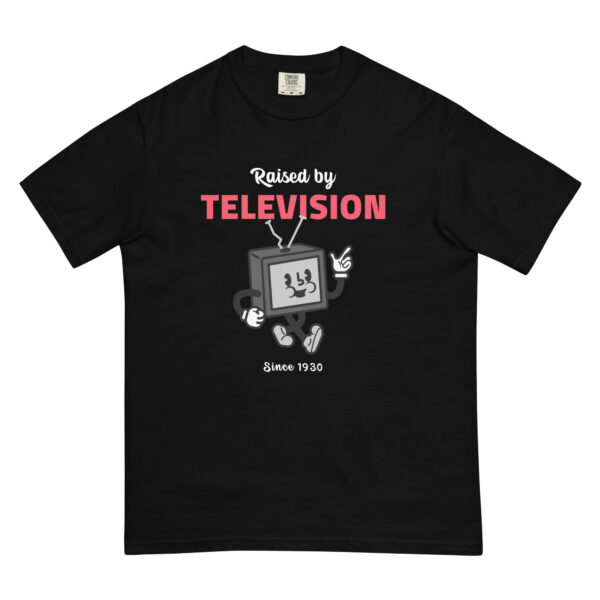 Raised By Television T-shirt - Black